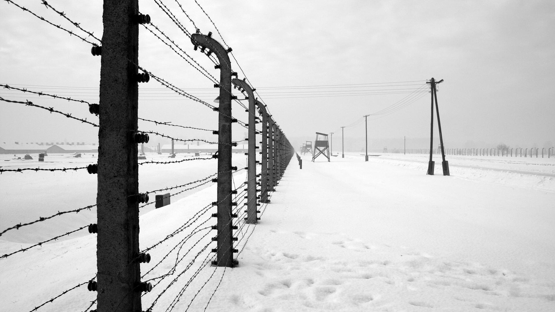 concentration wallpaper,snow,white,winter,black,black and white