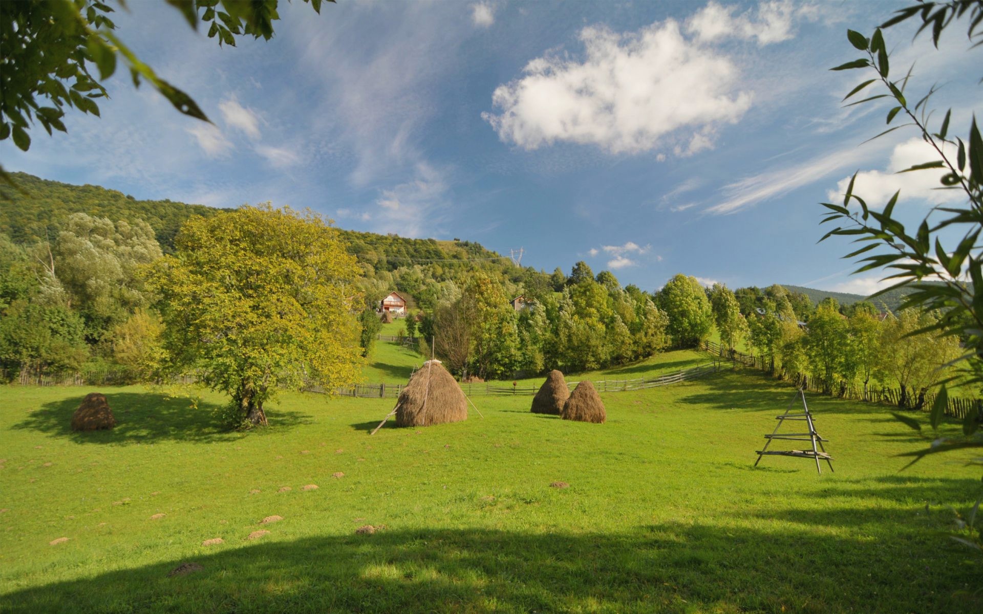 壁紙ルーマニア,自然の風景,自然,草原,草,牧草地