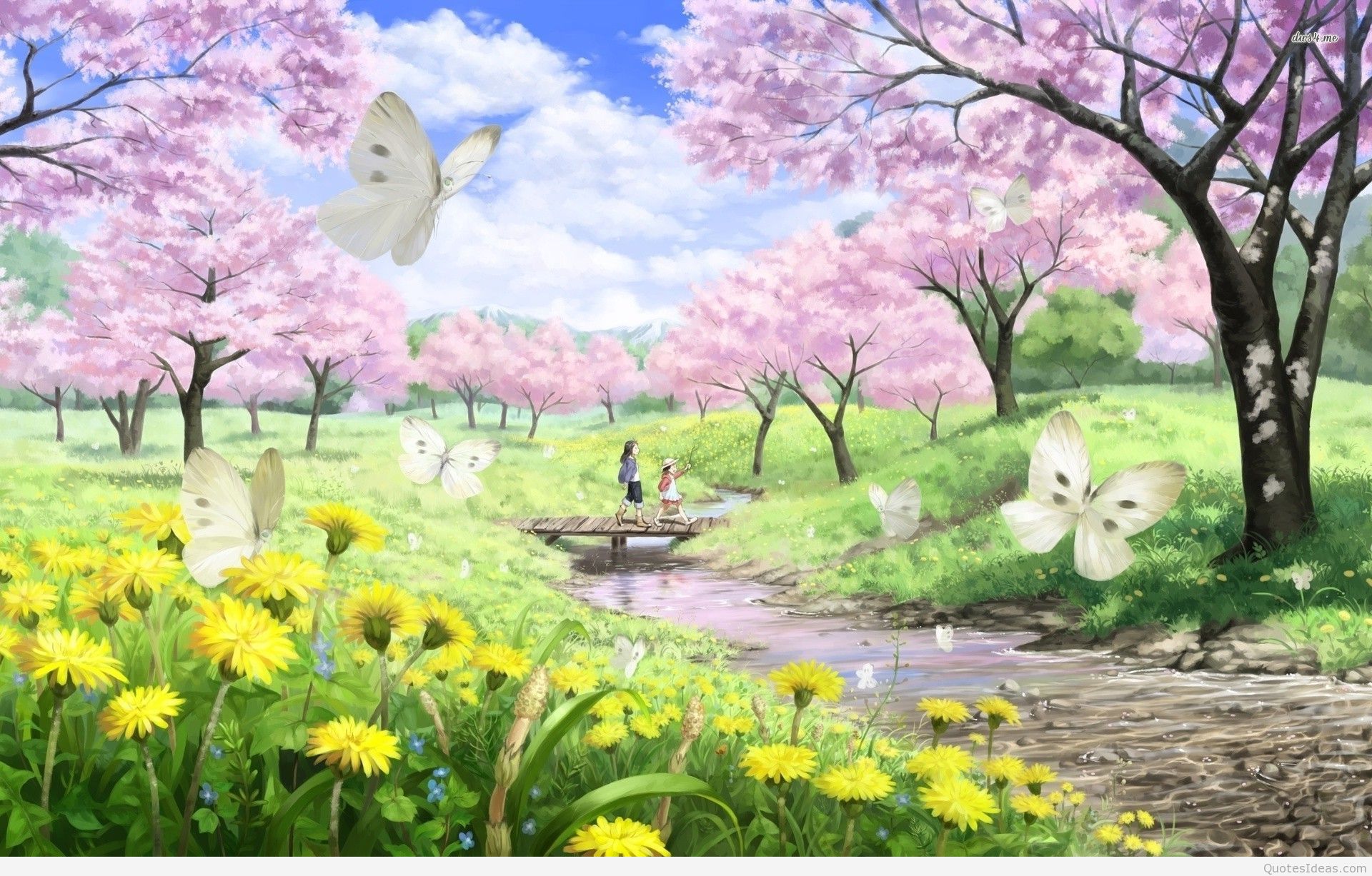 primavera imágenes fondos de pantalla,paisaje natural,naturaleza,primavera,flor,florecer