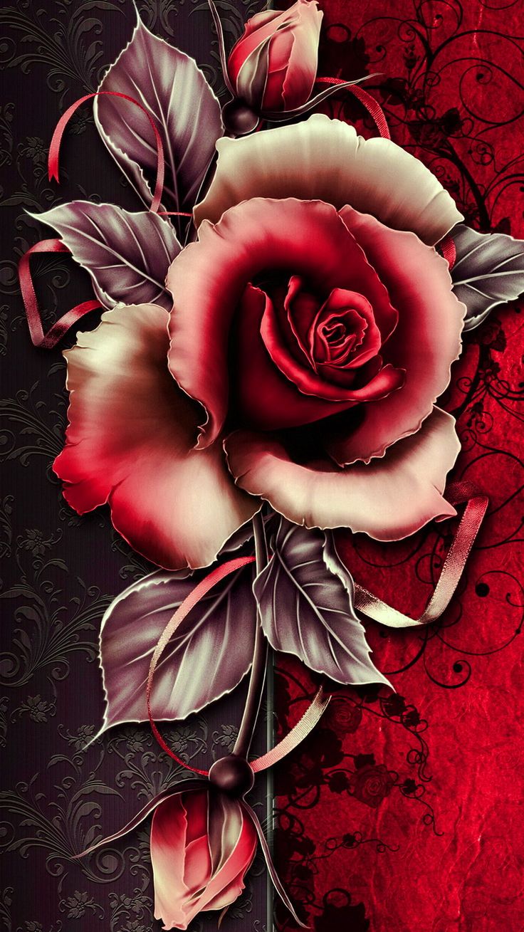 carta da parati rosa per android,rose da giardino,rosso,fiore,rosa,petalo