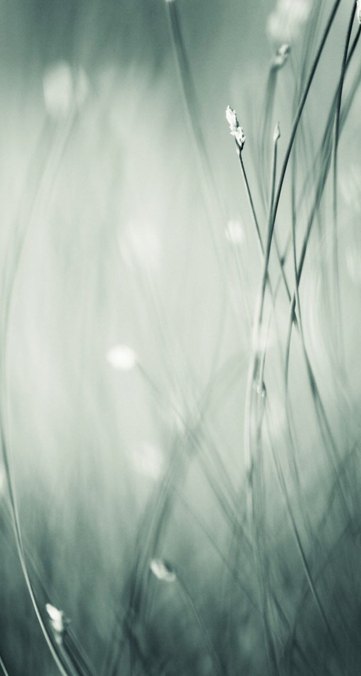 fondo de pantalla de chat,naturaleza,blanco,agua,fotografía monocroma,en blanco y negro