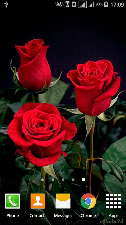 rosa download di sfondi animati,fiore,pianta fiorita,rose da giardino,rosa,floribunda