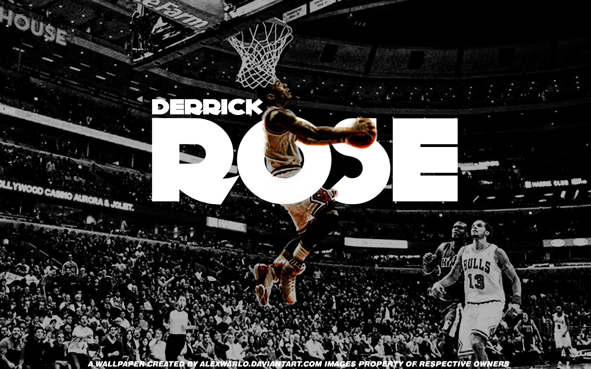 derrick rose wallpaper iphone,sports,basketball moves,ball game,basketball player,basketball