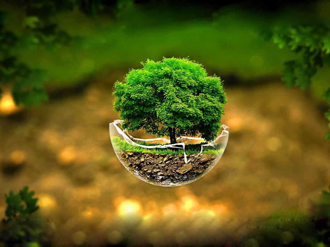 3d tree wallpaper,green,nature,water,natural landscape,tree