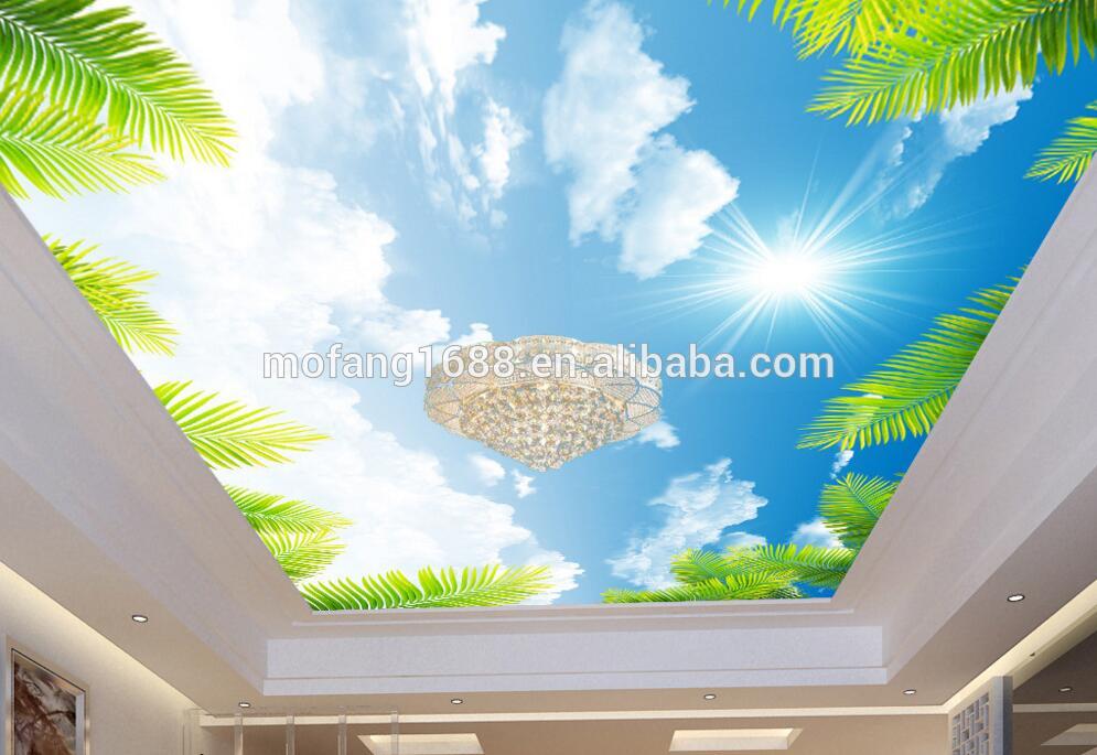 벽지 3d effekt,천장,하늘,벽,폰트,햇빛