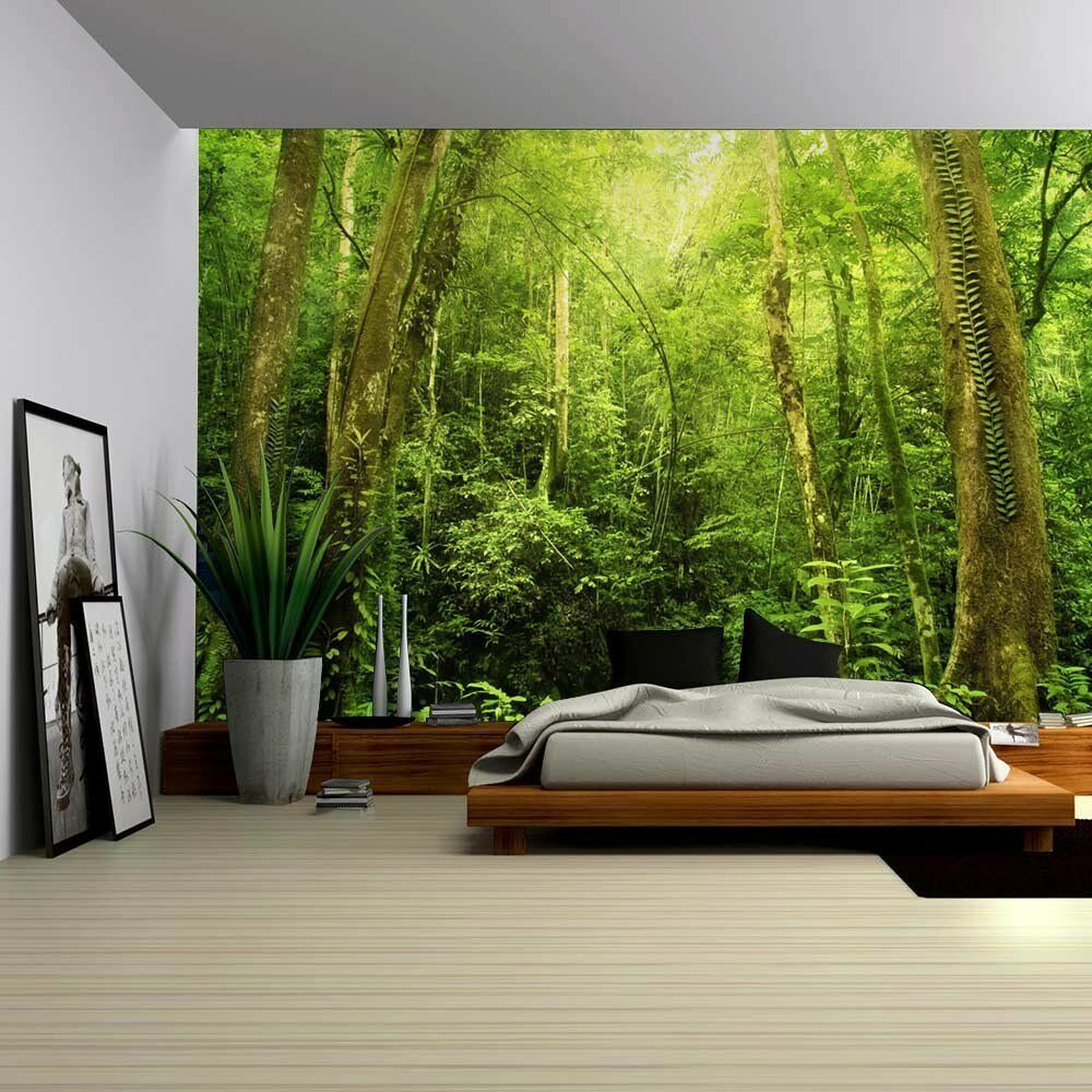 forest mural wallpaper,nature,natural landscape,tree,room,natural environment