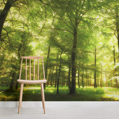 森の壁画の壁紙,自然,緑,自然の風景,木,家具