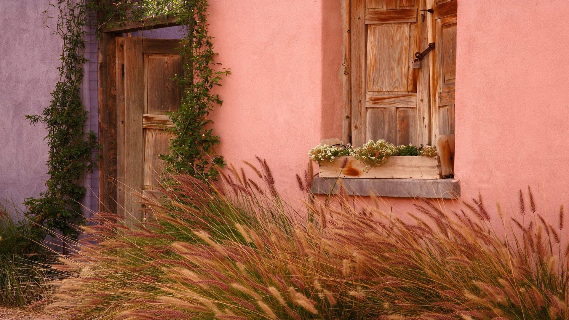 imagen de fondo de la casa,pared,césped,propiedad,familia de la hierba,casa