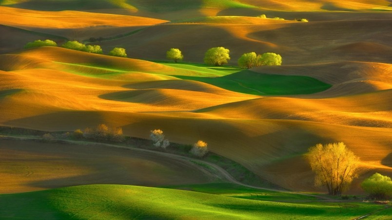 fotografía de papel tapiz,naturaleza,paisaje natural,pradera,verde,cielo