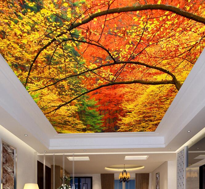 販売のための壁紙壁画,天井,葉,木,黄,オレンジ
