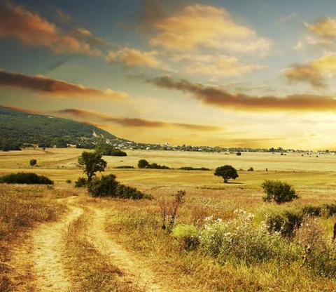 wallpaper murals australia,nature,natural landscape,sky,grassland,plain