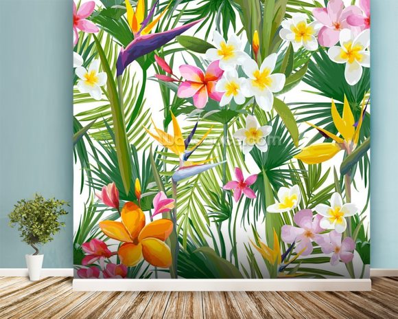 wallpaper murals australia,flower,frangipani,plant,houseplant,mural