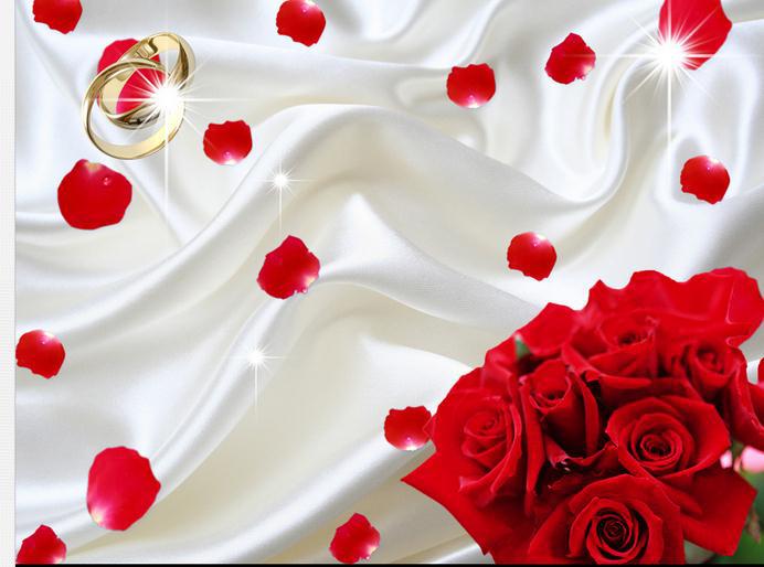 personalizzare lo sfondo,rosso,petalo,rosa,san valentino,rose da giardino