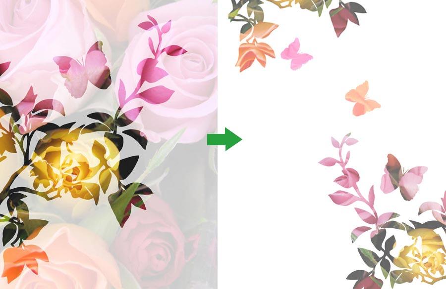 personalizzare lo sfondo,rosa,fiore,modello,pianta,disegno floreale
