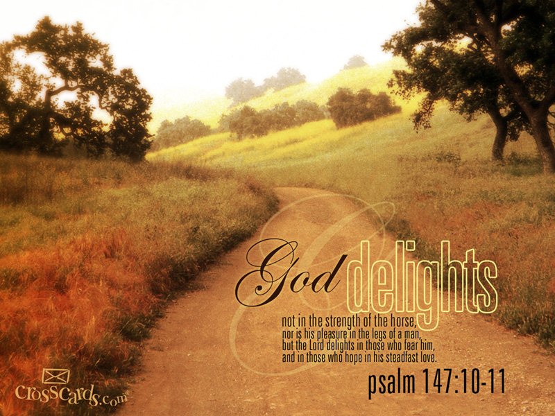scripture desktop wallpaper,natural landscape,text,dirt road,morning,sky