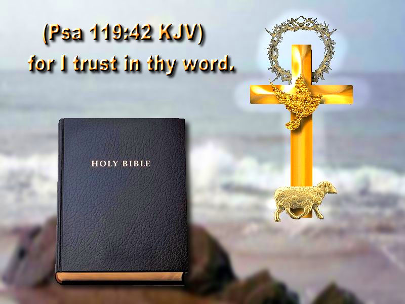 holy bible wallpaper,religious item,cross,symbol,crucifix