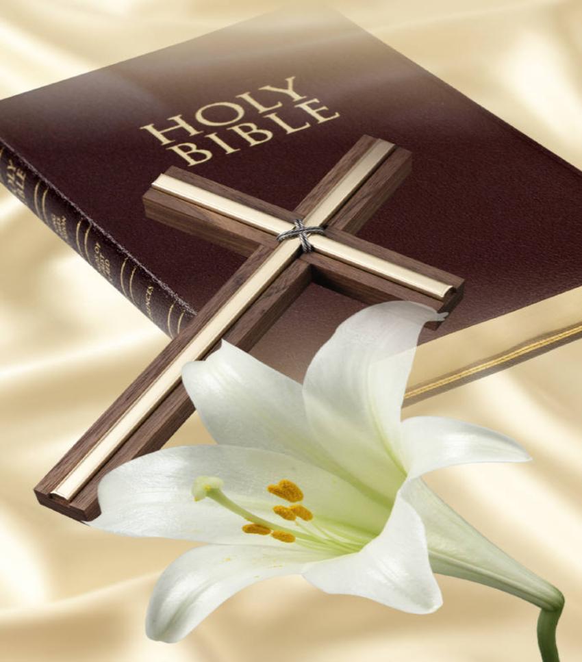 holy bible wallpaper,lily,petal,flower,plant,table