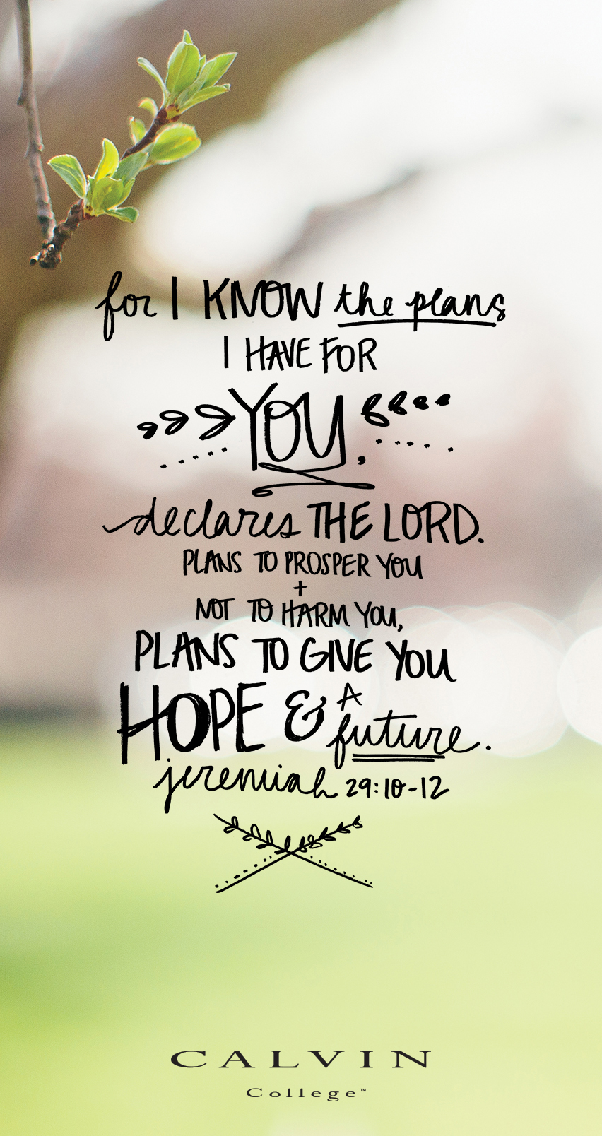 bible verse wallpaper for android phone,font,text,calligraphy,plant,happy
