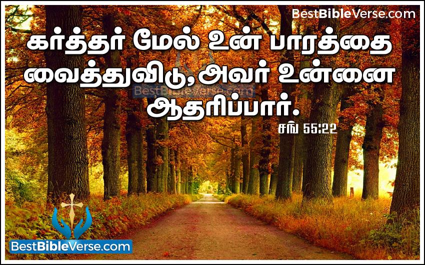 carta da parati parole bibbia singalese,paesaggio naturale,natura,albero,testo,autunno