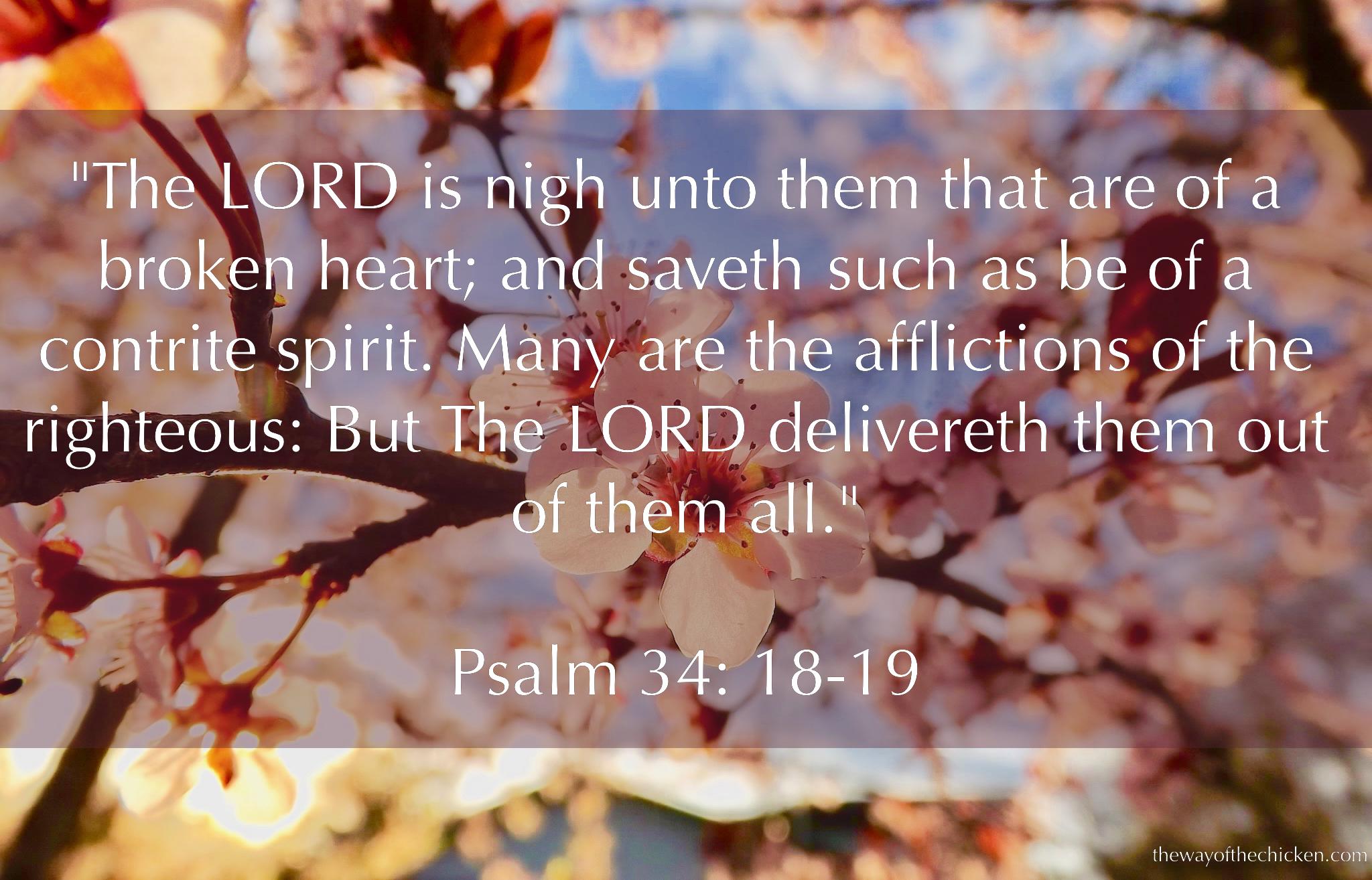 sinhala bible words (520512