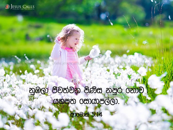 Sinhala Bible Words Wallpaper People In Nature Nature Meadow Child Grass 520517 Wallpaperuse
