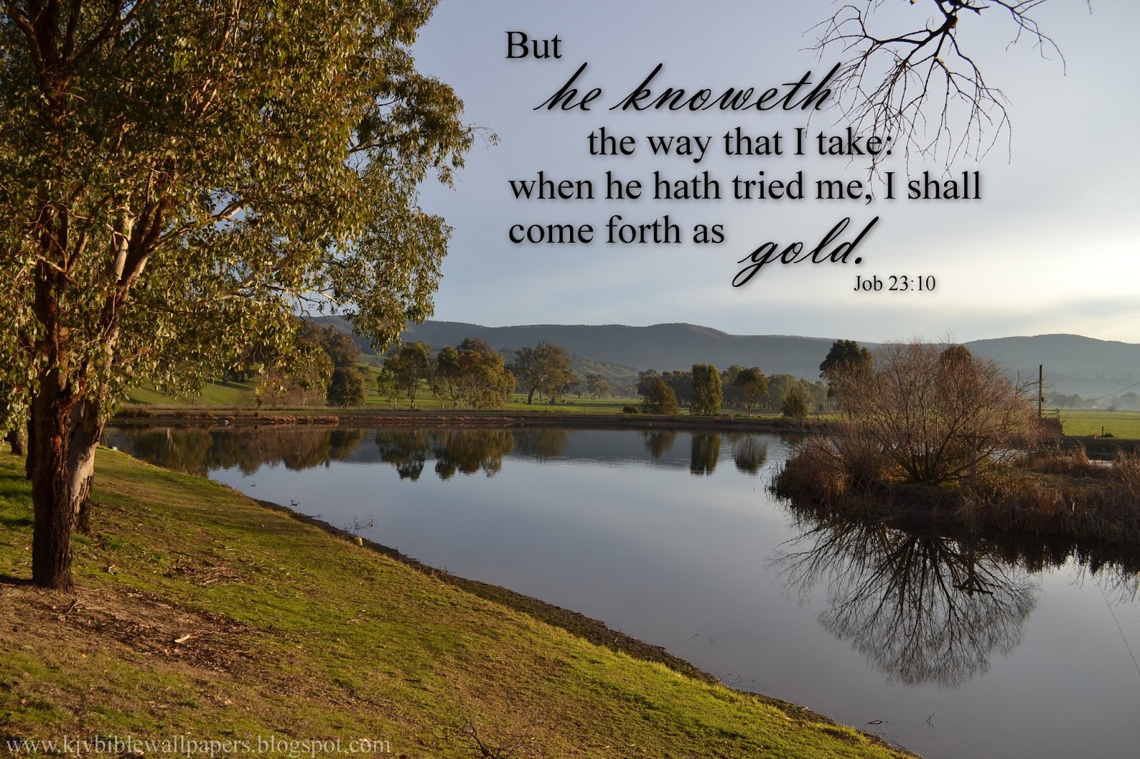 kjv bible verse wallpaper,natural landscape,nature,water,water resources,reflection