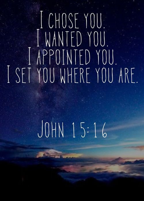 bible verse wallpaper for android,sky,font,text,morning,atmosphere