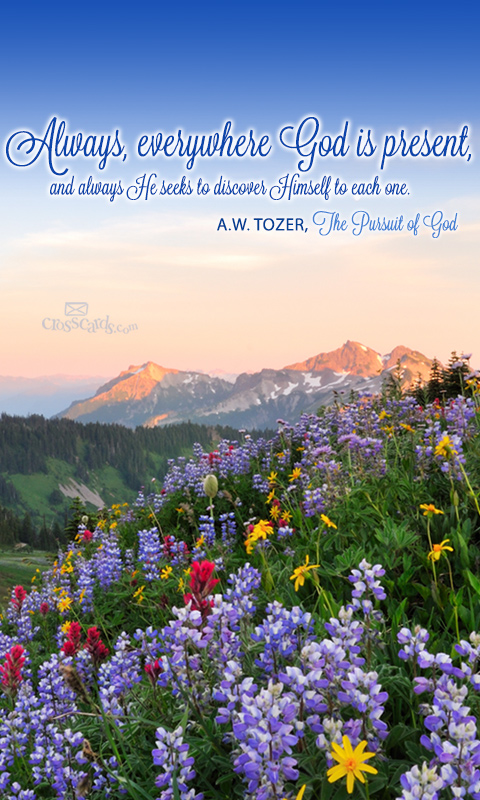 bible verse wallpaper for android,natural landscape,nature,flower,wildflower,morning