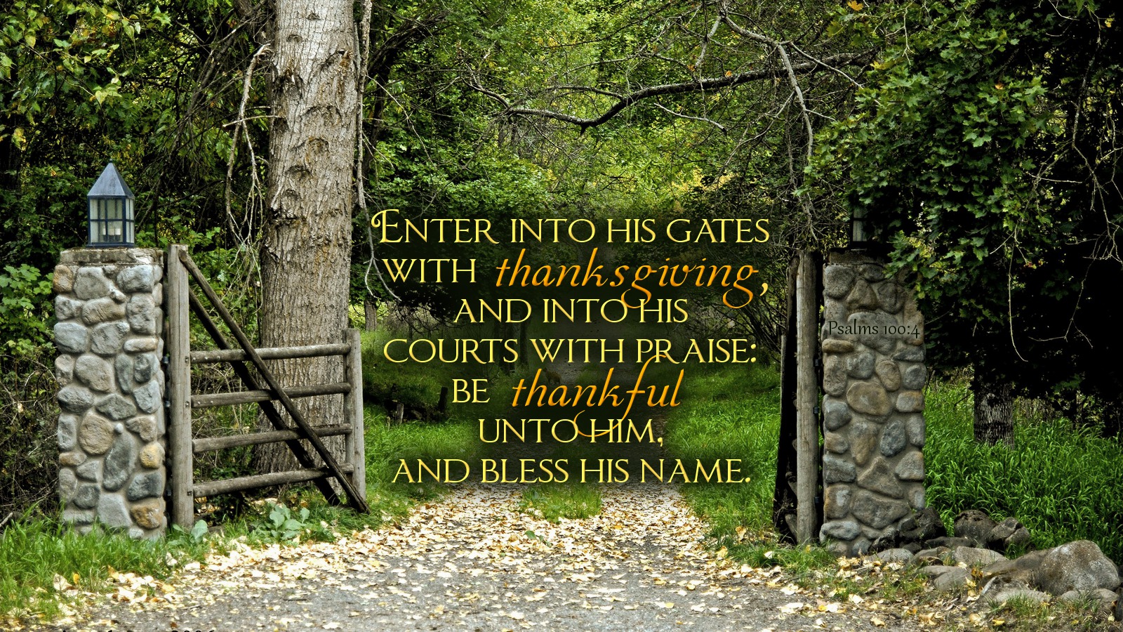 kjv bible verse wallpaper,nature,natural landscape,nature reserve,tree,vegetation