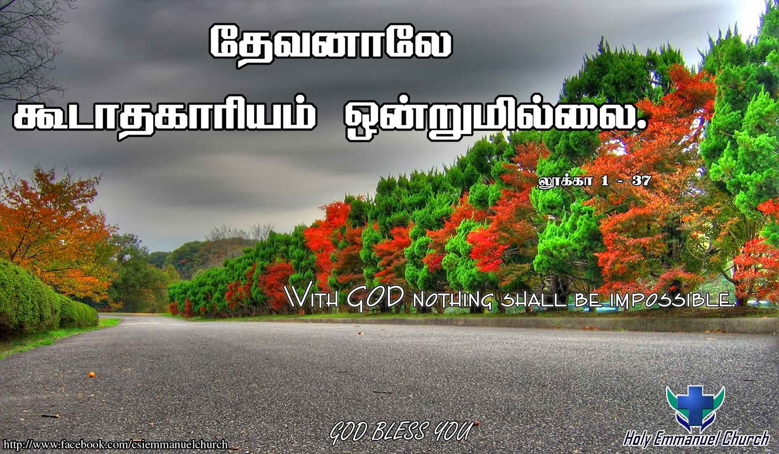 sinhala biblia palabras fondo de pantalla,paisaje natural,asfalto,la carretera,árbol,cielo