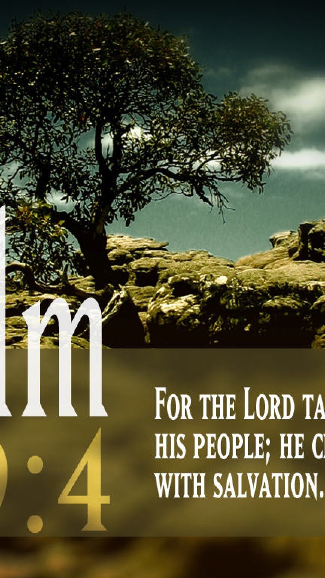 inspirational bible verses wallpaper,text,font,tree,adaptation,landscape