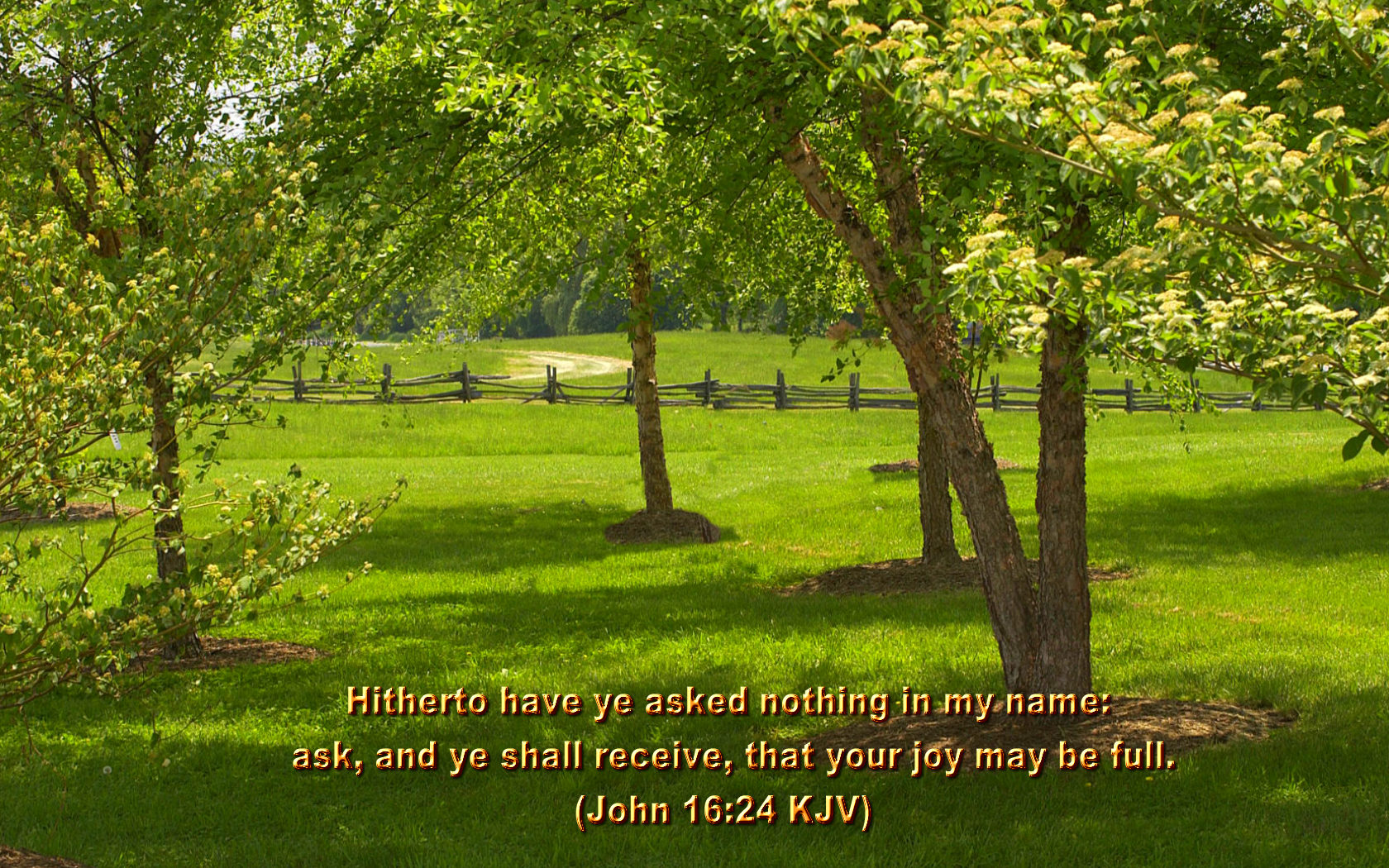 biblia escrituras fondo de pantalla,paisaje natural,naturaleza,árbol,lote de tierra,césped