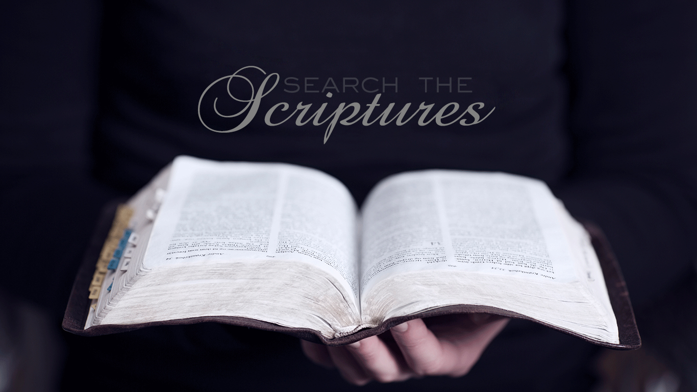 bible scriptures wallpaper,text,font,hand,book,linens