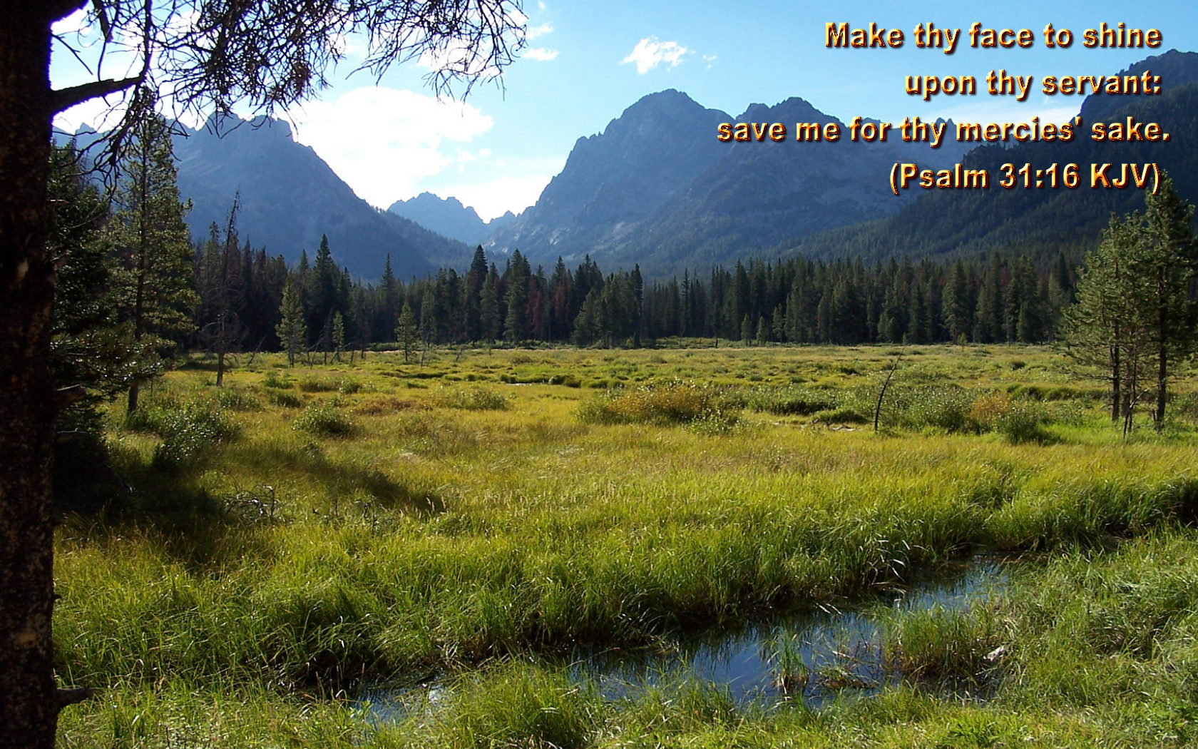 fondo de pantalla bíblico,paisaje natural,naturaleza,pradera,montaña