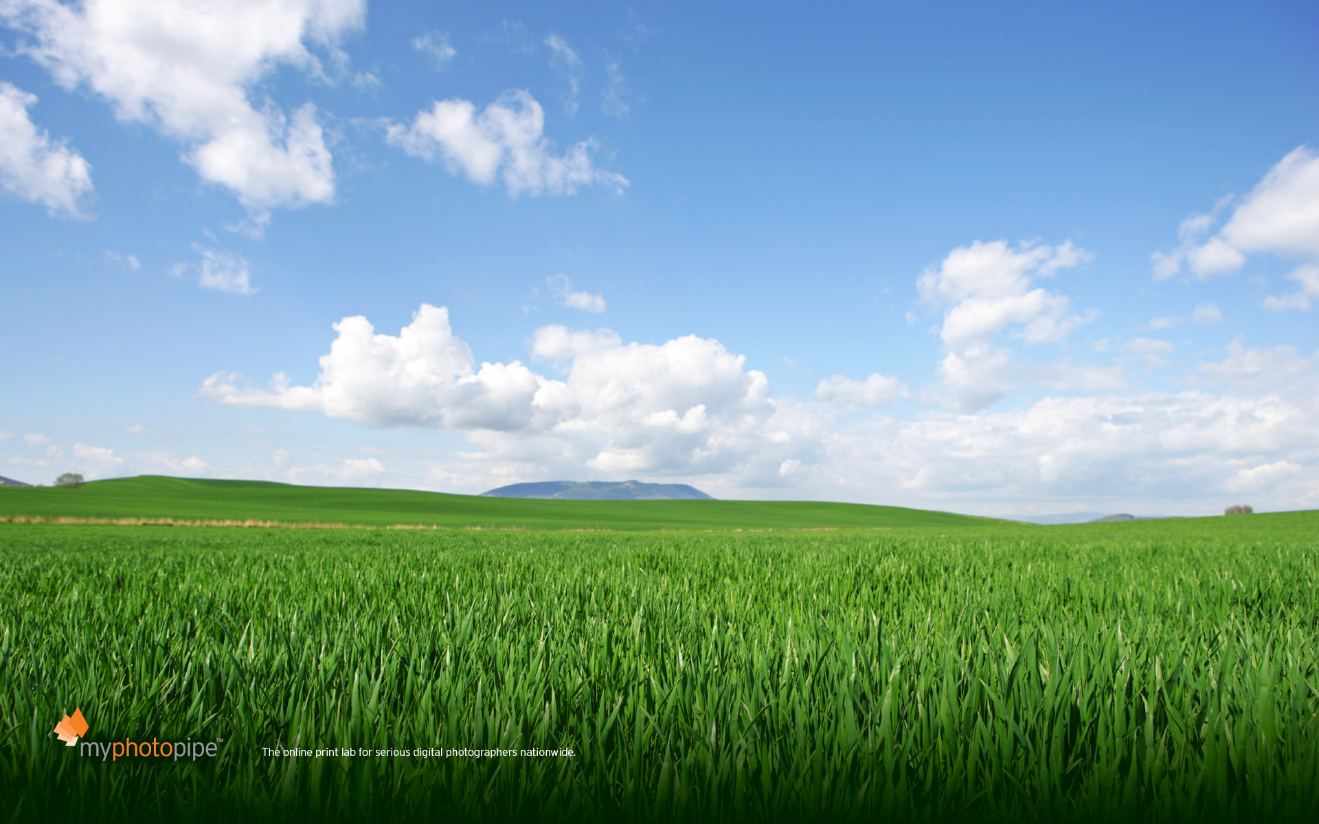 summer theme wallpaper,grassland,natural landscape,field,nature,sky