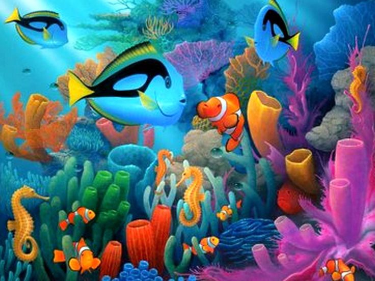 물고기 테마 벽지,물고기,해양 생물학,수중,산호초,산호초 물고기