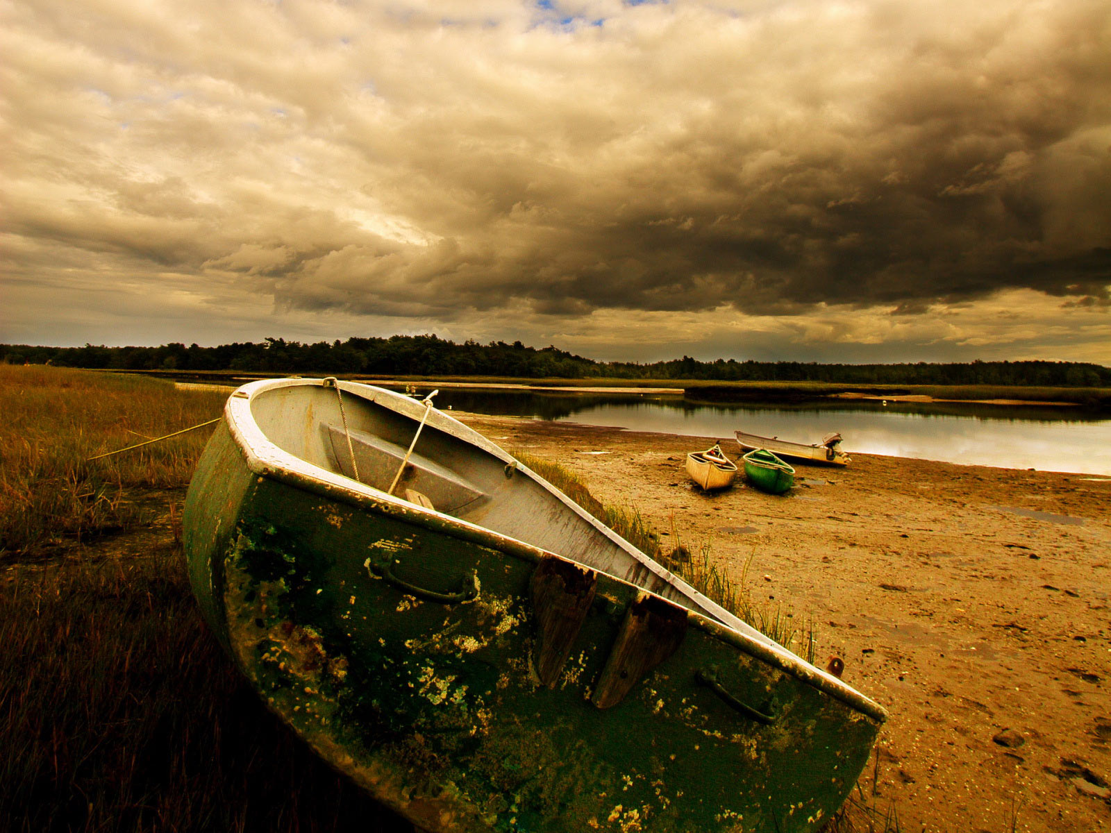 papel pintado temático de pescado,cielo,paisaje natural,nube,paisaje,fotografía