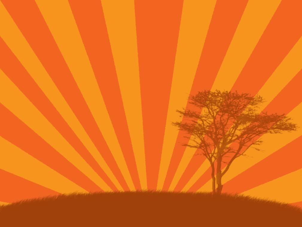 carta da parati a tema africano,arancia,cielo,natura,giallo,rosso