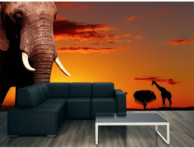 papier peint à thème africain,l'éléphant,éléphants et mammouths,éléphant d'afrique,orange,le coucher du soleil