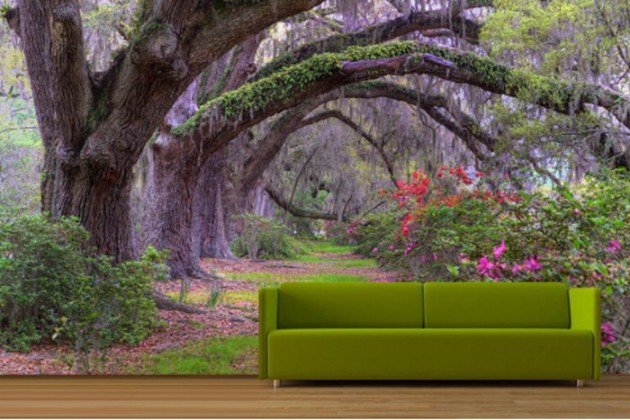 fondo de pantalla de tema de naturaleza,paisaje natural,naturaleza,árbol,mural,planta