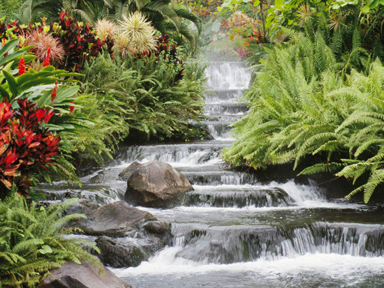 fondo de pantalla de tema de naturaleza,cuerpo de agua,paisaje natural,recursos hídricos,naturaleza,corriente de agua