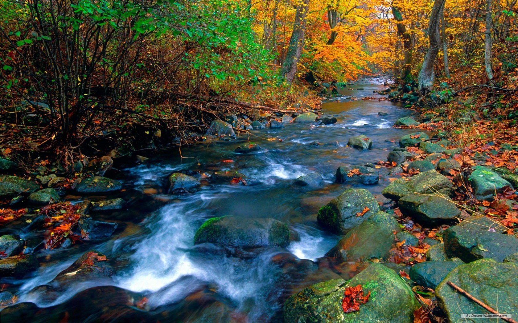 carta da parati a tema natura,corpo d'acqua,paesaggio naturale,ruscello,natura,alveo