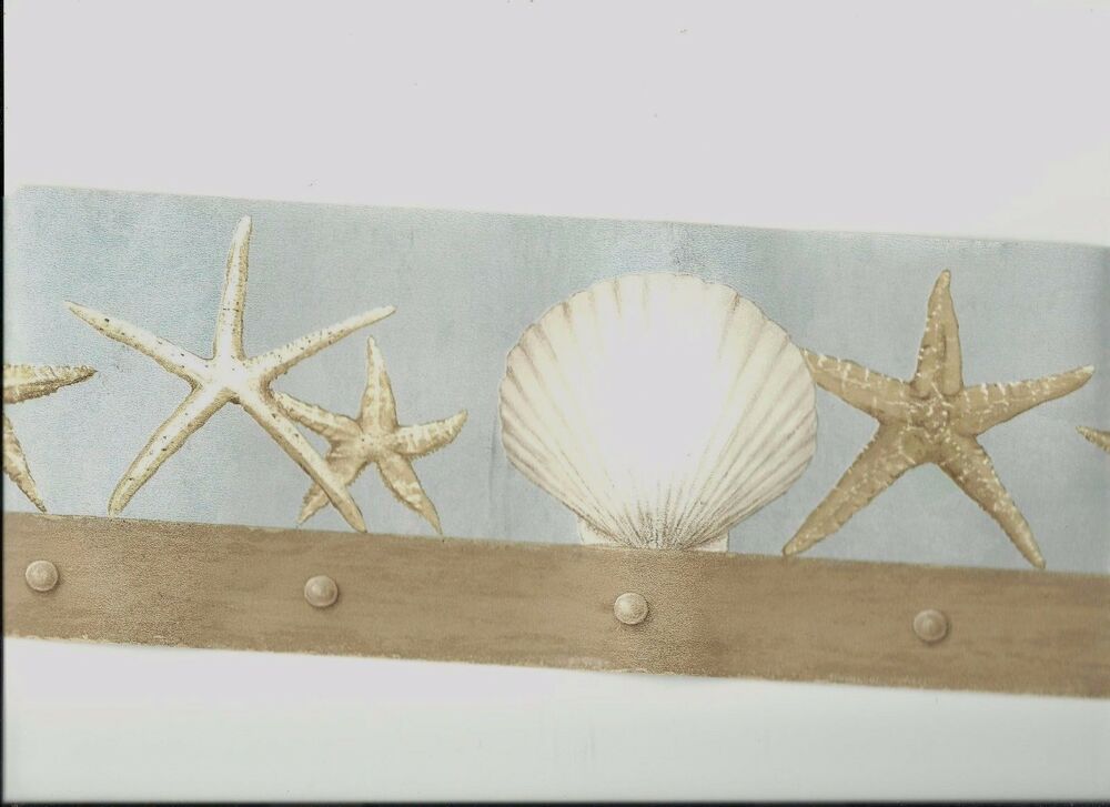 borde de papel tapiz de concha marina,estrella de mar,cáscara,invertebrados marinos