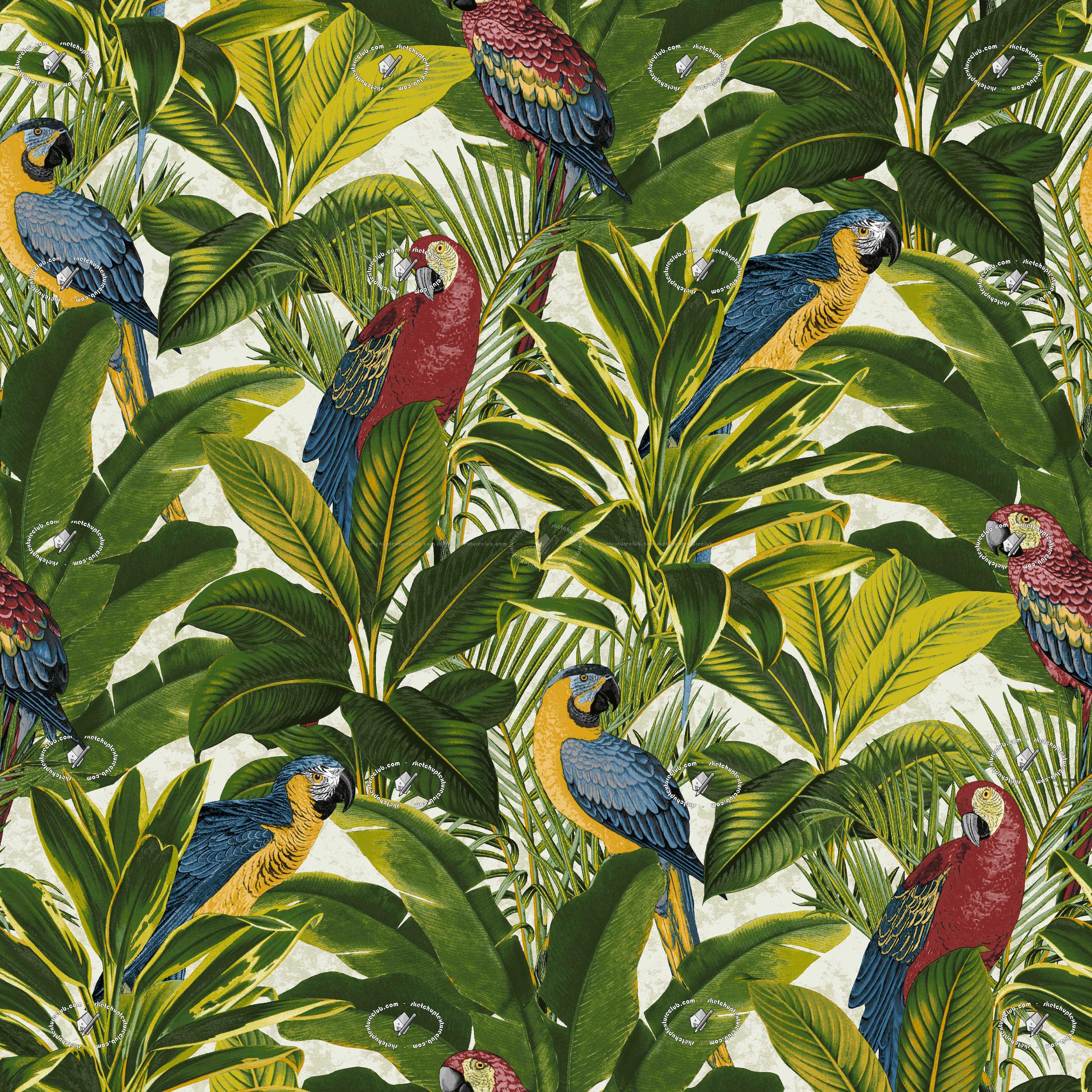papier peint tropical pour murs,oiseau,plante,fleur,arbre,perroquet
