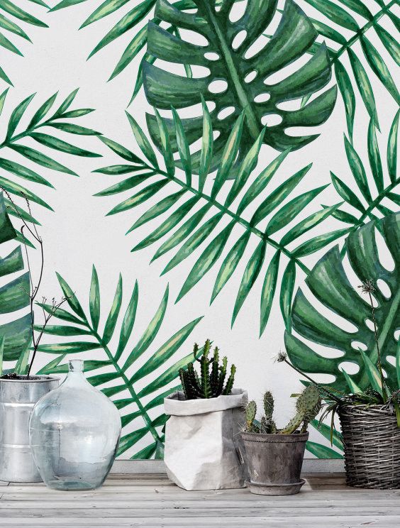 papier peint tropical pour murs,feuille,monstera deliciosa,vert,plante,plante d'appartement