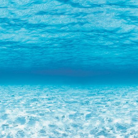 carta da parati a tema mare,blu,acqua,acqua,mare,oceano