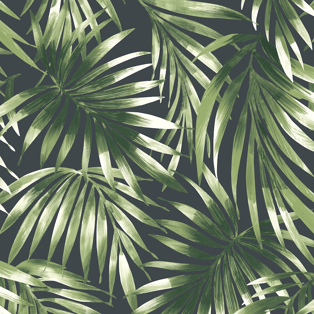 leaf wallpaper uk,monstera deliciosa,leaf,vegetation,plant,tree