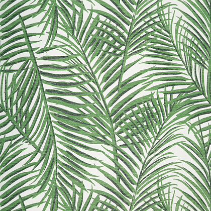 palm wallpaper uk,foglia,pianta,modello,albero,linea