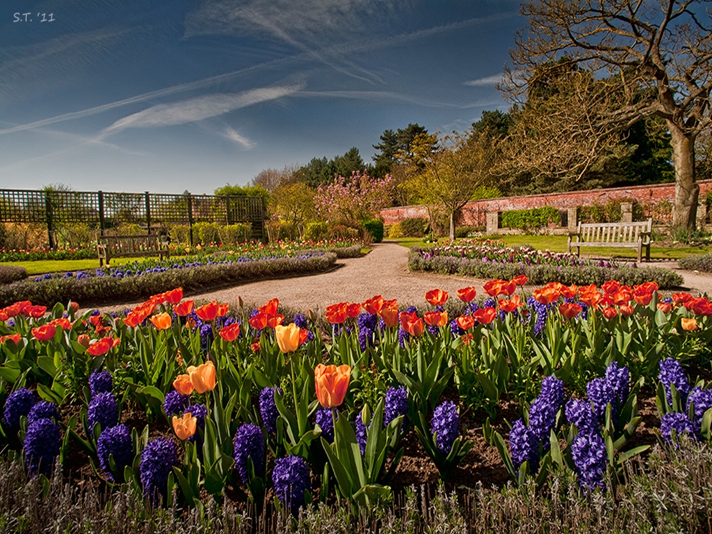 old english wallpaper,flower,natural landscape,plant,spring,tulip