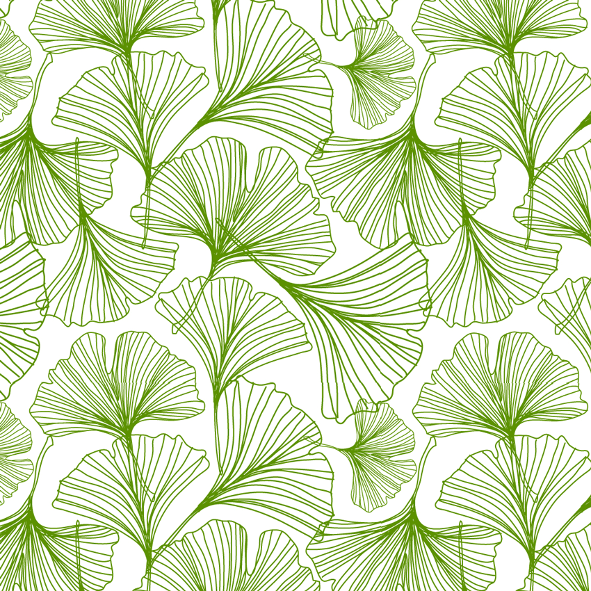 leaves wallpaper for walls,leaf,plant,pattern,flower,botany
